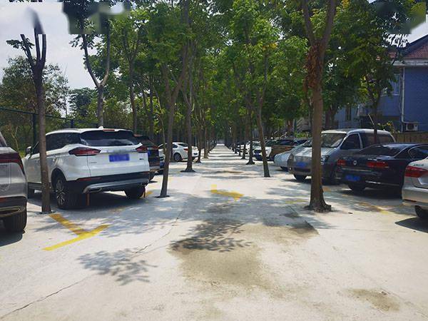 村里新建停车场绿树成荫，破解停车“烤验”惠民生